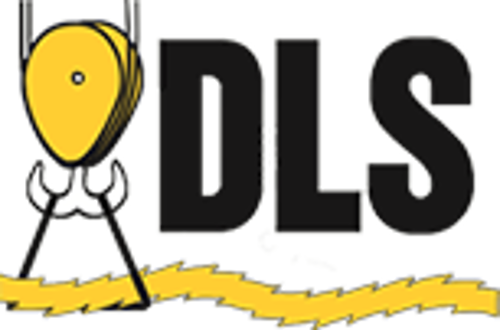 DLS  photo