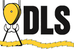 DLS  photo